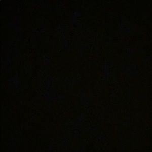 Meet your Posher, Dylan